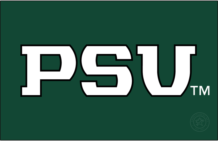 Portland State Vikings 2016-Pres Wordmark Logo v2 diy iron on heat transfer